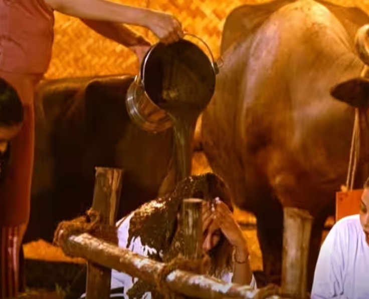इस शो के आगे बिग बॉस भी फेल, खेल में बने रहने के लिए एक्ट्रेसेज ने एक दूसरे पर डाला गोबर