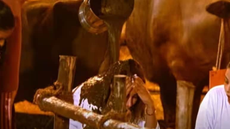 Chhoriyan Chali Gaon: इस शो के आगे बिग बॉस भी फेल, खेल में बने रहने के लिए एक्ट्रेसेज ने एक दूसरे पर डाला गोबर Chhoriyan Chali Gaon: इस शो के आगे बिग बॉस भी फेल, खेल में बने रहने के लिए एक्ट्रेसेज ने एक दूसरे पर डाला गोबर