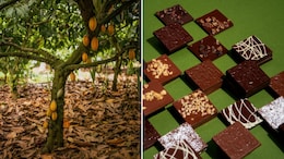 From Farmers To Chocolatiers: The Complete Journey Of Making Delicious Chocolate In India