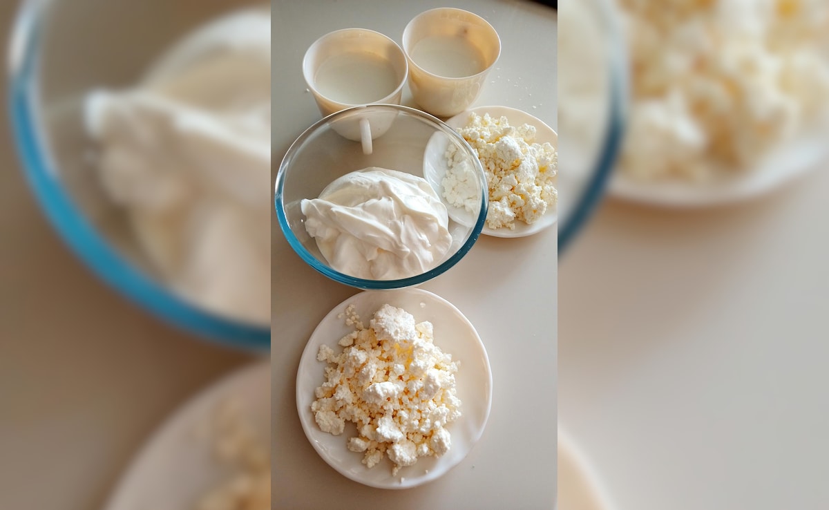 Latest and Breaking News on NDTV