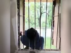 Locked In School Overnight, Head Stuck In Window: Class 2 Girl&#039;s Nightmare