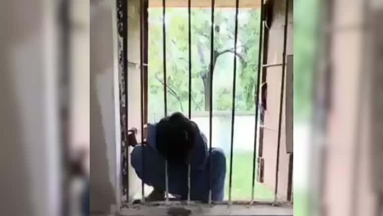 Locked In School Overnight, Head Stuck In Window: Class 2 Girl's Nightmare