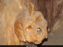 Mysterious 300,000-Year-Old Skull Found In Greece Does Not Belong To Humans Mysterious 300,000-Year-Old Skull Found In Greece Does Not Belong To Humans