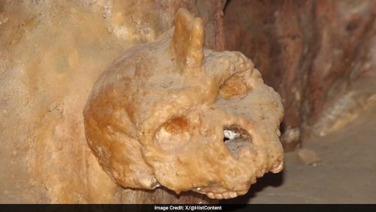 Mysterious 300,000-Year-Old Skull Found In Greece Does Not Belong To Humans Mysterious 300,000-Year-Old Skull Found In Greece Does Not Belong To Humans