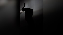 White House Says Washington DC Has Highest Murder Rate In 2024, Delhi At...