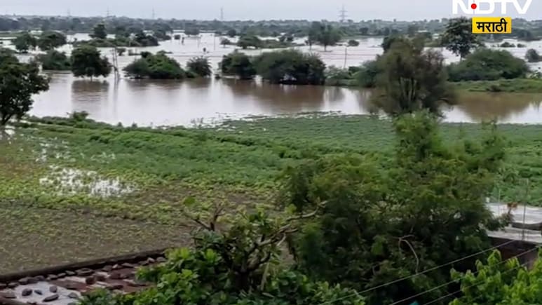 Marathwada Rain Damage: मराठवाड्यात आभाळ फाटलं! पावसामुळे 13 बळी, हजारो गावे, 4 लाख शेतकरी बाधित, पाहा Report Marathwada Rain Damage: मराठवाड्यात आभाळ फाटलं! पावसामुळे 13 बळी, हजारो गावे, 4 लाख शेतकरी बाधित, पाहा Report