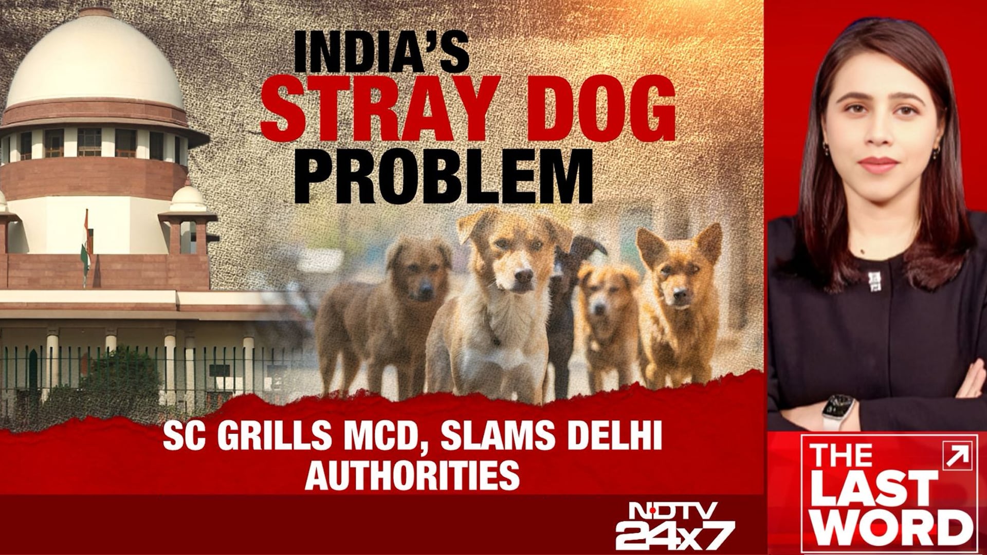 Supreme Court Slams Delhi Civic Agency, City Authorities