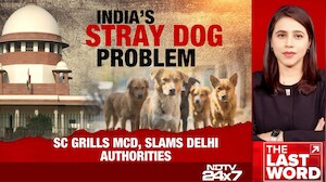 Supreme Court Slams Delhi Civic Agency, City Authorities