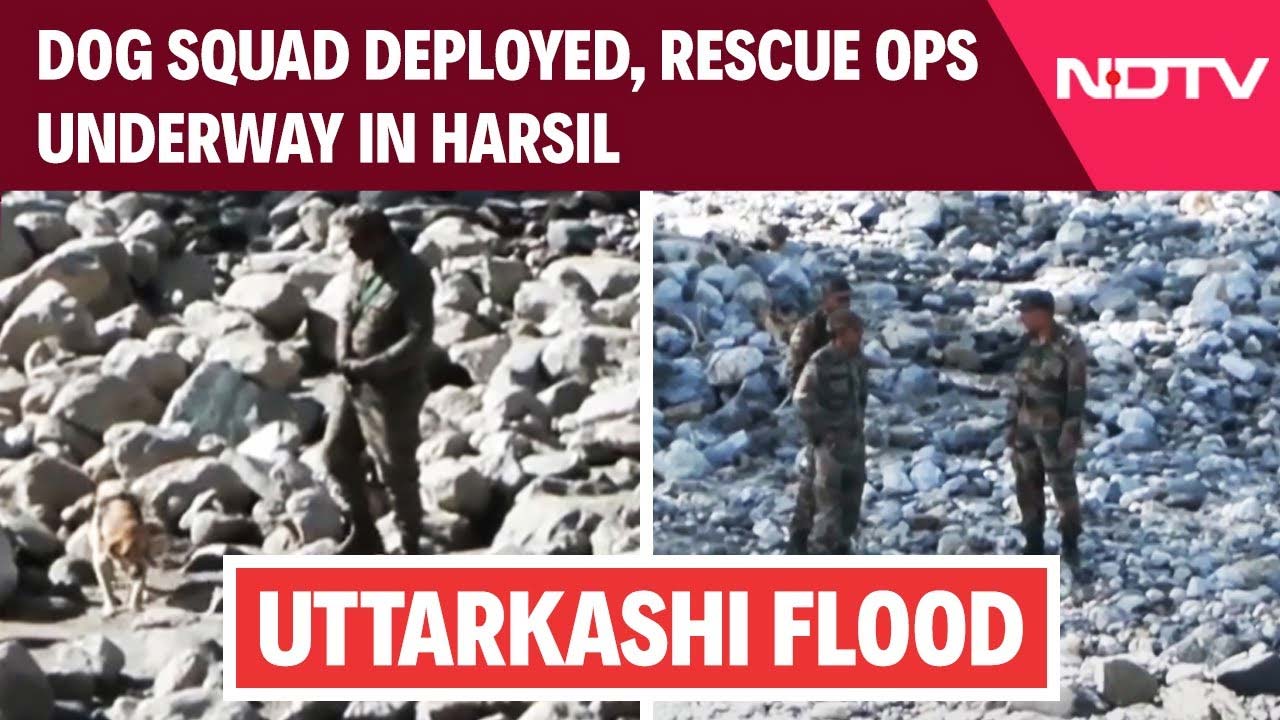 Uttarakhand: Dog Squad Deployed, Rescue Ops Underway In The Flash Flood Affected Harsil