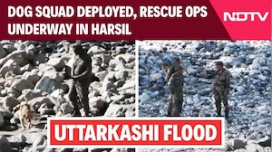 Uttarakhand: Dog Squad Deployed, Rescue Ops Underway In The Flash Flood Affected Harsil