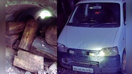 खैर तस्करीचे सत्र सुरूच; वनविभागाने मुंबई-अहमदाबाद महामार्गावरील मोठी तस्करी उधळली