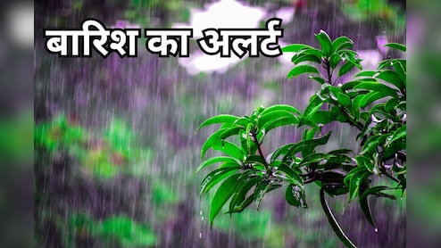 Rains in MP: इन जिलों में भारी बारिश की चेतावनी, मध्य प्रदेश मौसम विभाग ने जारी किया अलर्ट