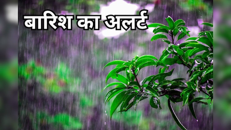 Rains in MP: इन जिलों में भारी बारिश की चेतावनी, मध्य प्रदेश मौसम विभाग ने जारी किया अलर्ट Rains in MP: इन जिलों में भारी बारिश की चेतावनी, मध्य प्रदेश मौसम विभाग ने जारी किया अलर्ट