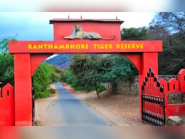 Ranthambore: रणथंभौर में जोन 6 में कैंटर खराब, पर्यटक फंसे , गाइड ने पर्यटकों को अकेला छोड़ा Ranthambore: रणथंभौर में जोन 6 में कैंटर खराब, पर्यटक फंसे , गाइड ने पर्यटकों को अकेला छोड़ा