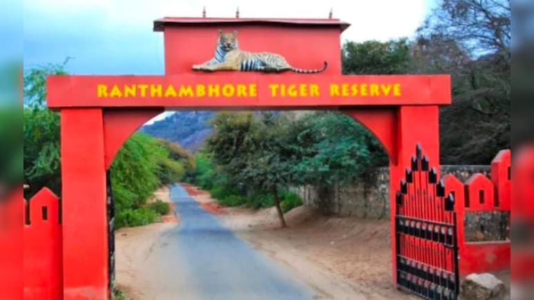 Ranthambore: रणथंभौर में जोन 6 में कैंटर खराब, पर्यटक फंसे , गाइड ने पर्यटकों को अकेला छोड़ा Ranthambore: रणथंभौर में जोन 6 में कैंटर खराब, पर्यटक फंसे , गाइड ने पर्यटकों को अकेला छोड़ा