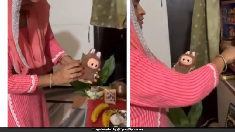 बेटी के कहने पर मां ने की Labubu doll की पूजा, देख किसी की छूटी हंसी...किसी को आया गुस्सा
