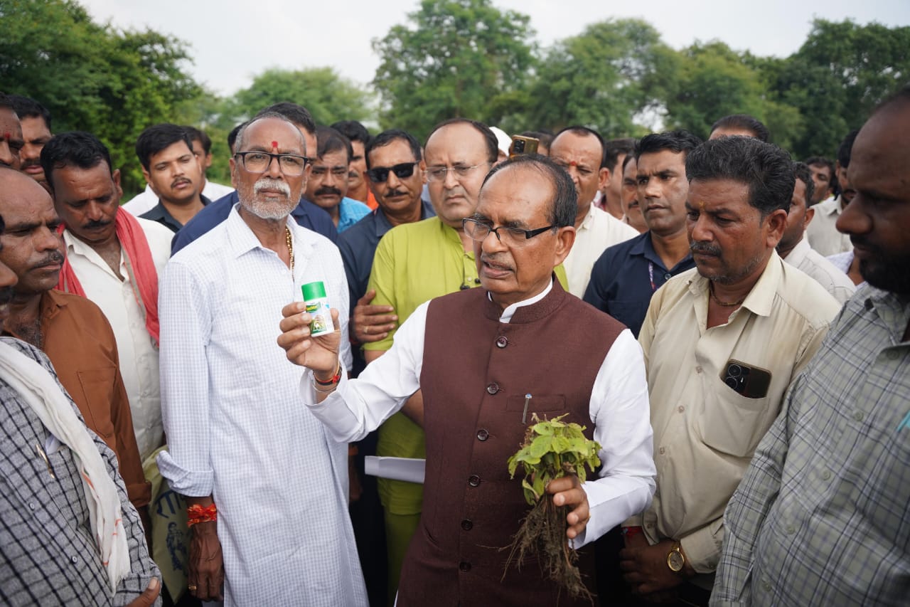 नकली खरपतवारनाशक से किसानों की फसल नष्ट, तमतमाए कृषि मंत्री ने दिए हाई लेवल जांच के निर्देश