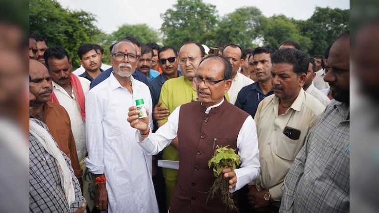 नकली खरपतवारनाशक से किसानों की फसल नष्ट, तमतमाए कृषि मंत्री ने दिए हाई लेवल जांच के निर्देश नकली खरपतवारनाशक से किसानों की फसल नष्ट, तमतमाए कृषि मंत्री ने दिए हाई लेवल जांच के निर्देश