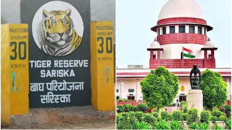 '3 दिन में फाइल कैसे क्लियर हो गई', सरिस्का टाइगर रिजर्व विवाद पर SC ने राजस्थान सरकार को दी चेतावनी