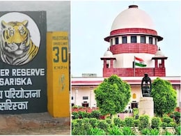 '3 दिन में फाइल कैसे क्लियर हो गई', सरिस्का टाइगर रिजर्व विवाद पर SC ने राजस्थान सरकार को दी चेतावनी '3 दिन में फाइल कैसे क्लियर हो गई', सरिस्का टाइगर रिजर्व विवाद पर SC ने राजस्थान सरकार को दी चेतावनी
