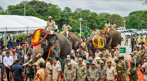Andhra Deploys 'Kumki' Elephants To Combat Rising Human-Elephant Conflict