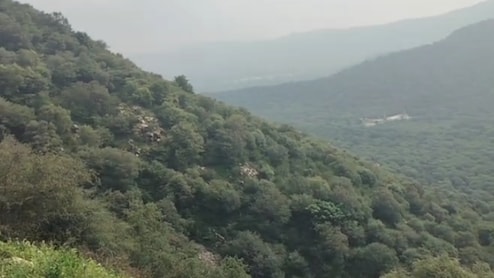 Khatushyamji: सीकर में हर्ष पर्वत से 250 फीट गहरी खाई में गिरी कार; खाटूश्यामजी से लौटे थे श्रद्धालु
