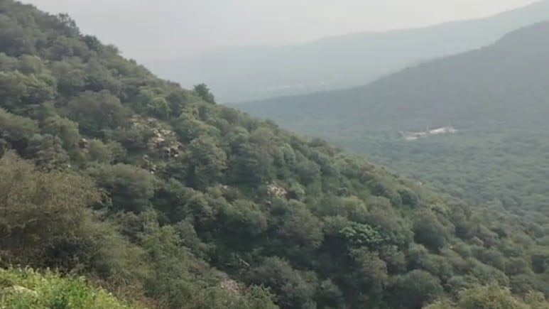Khatushyamji: सीकर में हर्ष पर्वत से 250 फीट गहरी खाई में गिरी कार; खाटूश्यामजी से लौटे थे श्रद्धालु
