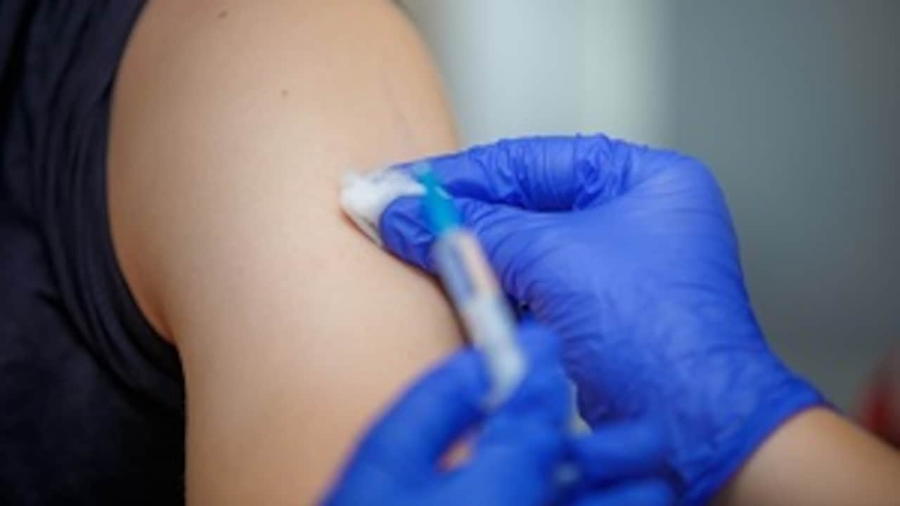 450 Get Anti-Rabies Vaccine After Consuming Milk From Suspected Rabid Cow