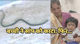 9 माह की बच्ची ने खिलौना समझकर करैत सांप को काटा, फिर तड़प-तड़प कर सांप ने तोड़ा दम