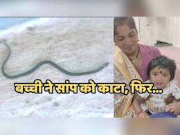 9 माह की बच्ची ने खिलौना समझकर करैत सांप को काटा, फिर तड़प-तड़प कर सांप ने तोड़ा दम 9 माह की बच्ची ने खिलौना समझकर करैत सांप को काटा, फिर तड़प-तड़प कर सांप ने तोड़ा दम