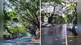Pune Junglee Maharaj Road: पुण्यातल्या या रस्त्यावर खड्डा का पडत नाही ? 55 वर्षानंतरही आहे एकदम गुळगुळीत