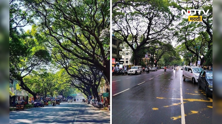 Pune Junglee Maharaj Road: पुण्यातल्या या रस्त्यावर खड्डा का पडत नाही ? 55 वर्षानंतरही आहे एकदम गुळगुळीत Pune Junglee Maharaj Road: पुण्यातल्या या रस्त्यावर खड्डा का पडत नाही ? 55 वर्षानंतरही आहे एकदम गुळगुळीत