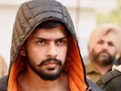&#039;Lawrence Bishnoi Gang Must Be Called &#039;Terrorist Group&#039;&#039;: Canada MP&#039;s Demand