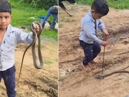 बच्चे ने सांप को मुंह से दबाकर ऐसे पकड़ा फन, फिर हाथ में लेकर लगा खेलने, लोग बोले- ये साहस जानलेवा हो सकता है बच्चे ने सांप को मुंह से दबाकर ऐसे पकड़ा फन, फिर हाथ में लेकर लगा खेलने, लोग बोले- ये साहस जानलेवा हो सकता है