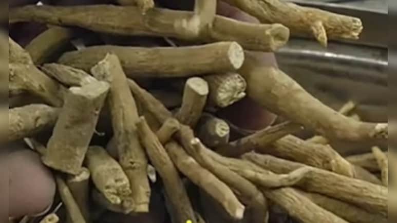 इन 5 लोगों को जरूर करना चाहिए अश्र्वगंधा का सेवन, कई समस्याएं को जड़ से करता है खत्म, जानिए सेवन का तरीका