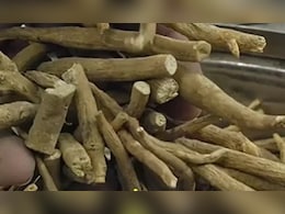 इन 5 लोगों को जरूर करना चाहिए अश्र्वगंधा का सेवन, कई समस्याएं को जड़ से करता है खत्म, जानिए सेवन का तरीका इन 5 लोगों को जरूर करना चाहिए अश्र्वगंधा का सेवन, कई समस्याएं को जड़ से करता है खत्म, जानिए सेवन का तरीका