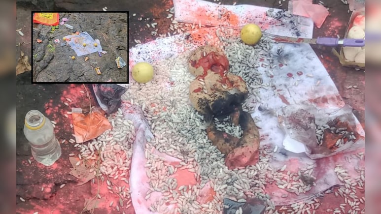 Palghar News : स्मशानभूमीतील अघोरी पूजा गावकऱ्यांकडून उद्ध्वस्त; मांत्रिक पळाला तर तरुणाचं संतापजनक कृत्य Palghar News : स्मशानभूमीतील अघोरी पूजा गावकऱ्यांकडून उद्ध्वस्त; मांत्रिक पळाला तर तरुणाचं संतापजनक कृत्य