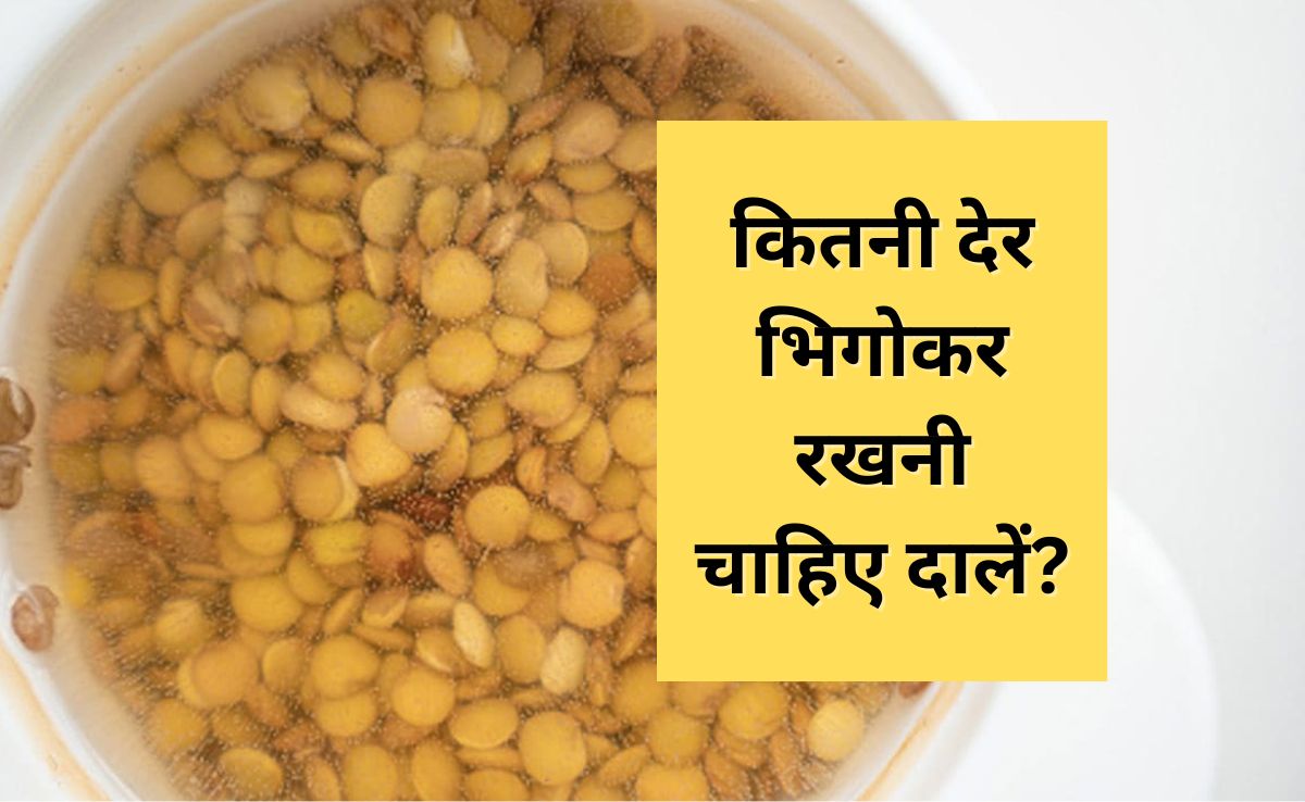 किस दाल को कितने समय तक भिगोकर रखना चाहिए? न्यूट्रिशनिस्ट ने बताया सही समय, नहीं होगी पेट फूलने की दिक्कत 