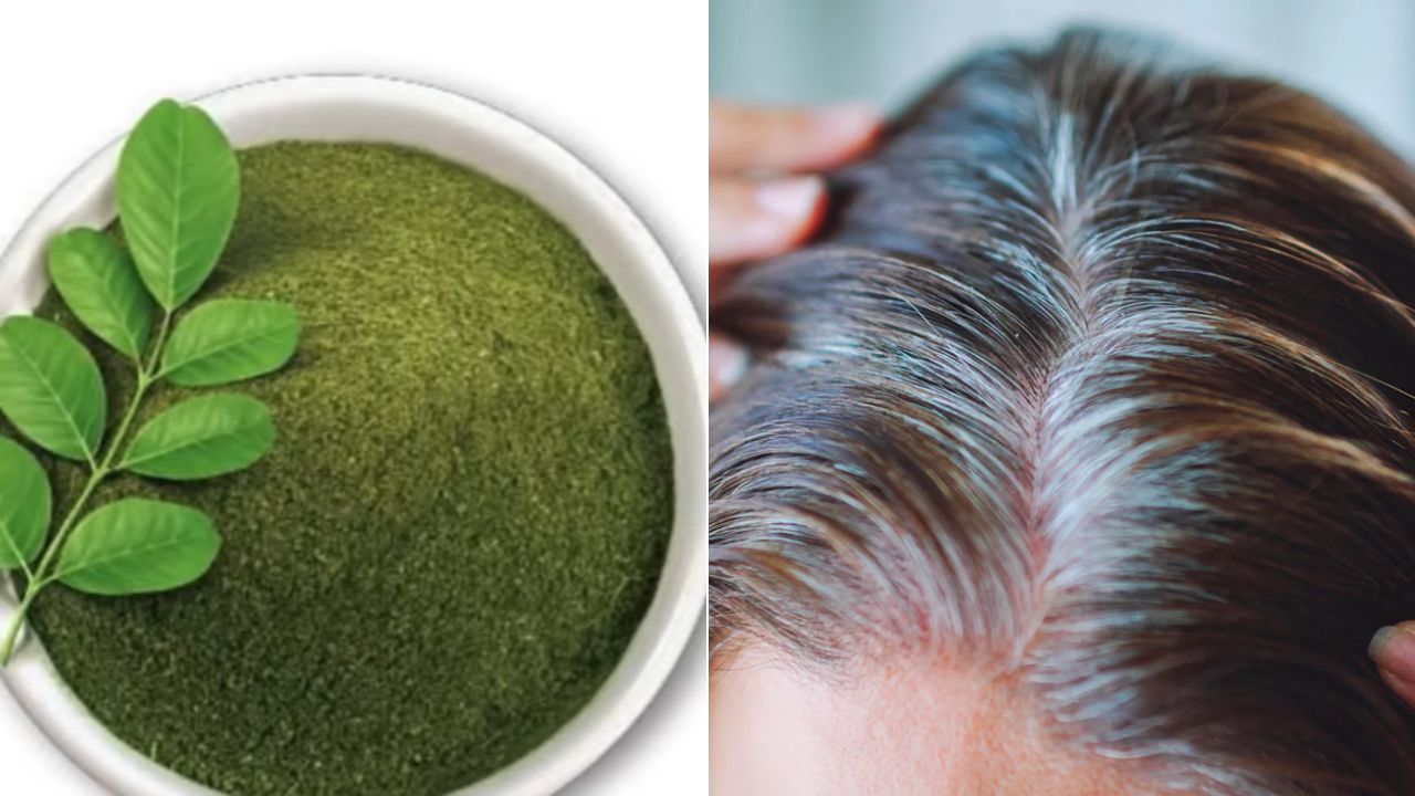 एक-एक सफेद बाल को काला कर देगा ये पौधा, आयुर्वेदिक डॉक्टर ने बताया White Hair के लिए कैसे करें इस्तेमाल