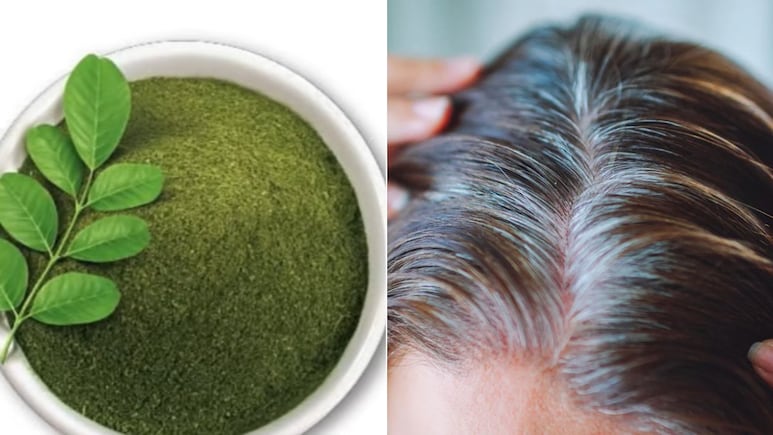 एक-एक सफेद बाल को काला कर देगा ये पौधा, आयुर्वेदिक डॉक्टर ने बताया White Hair के लिए कैसे करें इस्तेमाल