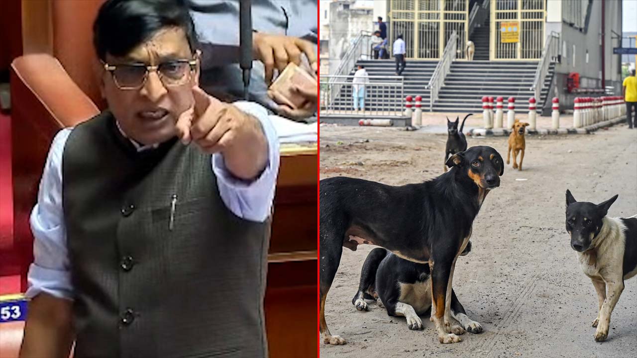 "Killed 2,800 Dogs, Can Go To Jail If Needed": Shocker From Karnataka JDS Leader
