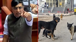 "Killed 2,800 Dogs, Can Go To Jail If Needed": Shocker From Karnataka JDS Leader