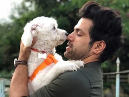 Exclusive: Rithvikk Dhanjani On Supreme Court's New Stray Dogs Order, "The Voices For The Voiceless Are Being Heard" Exclusive: Rithvikk Dhanjani On Supreme Court's New Stray Dogs Order, "The Voices For The Voiceless Are Being Heard"