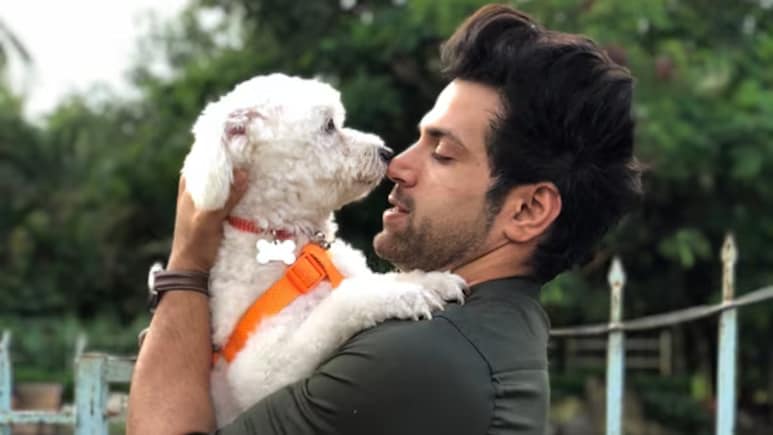 Exclusive: Rithvikk Dhanjani On Supreme Court's New Stray Dogs Order, "The Voices For The Voiceless Are Being Heard" Exclusive: Rithvikk Dhanjani On Supreme Court's New Stray Dogs Order, "The Voices For The Voiceless Are Being Heard"