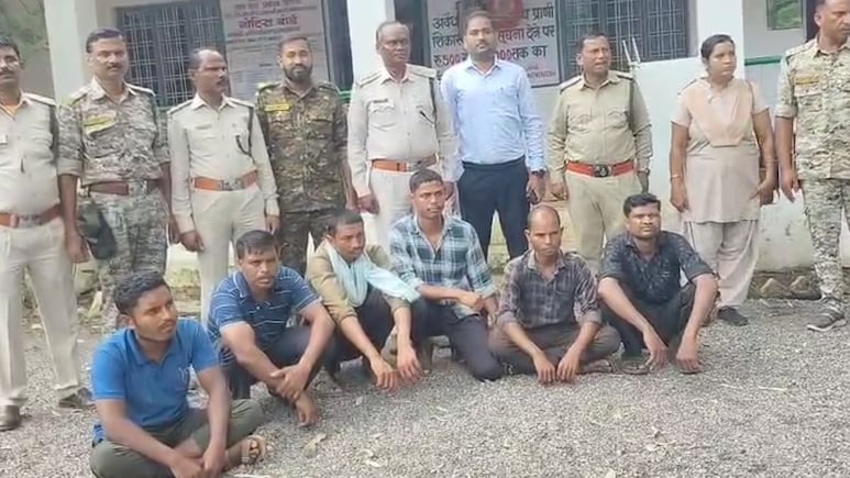 वन विभाग के 2 अधिकारियों के कहने पर बाघ का शव जलाया, 6 चौकीदार गिरफ्तार, डिप्टी रेंजर और वनरक्षक सस्पेंड वन विभाग के 2 अधिकारियों के कहने पर बाघ का शव जलाया, 6 चौकीदार गिरफ्तार, डिप्टी रेंजर और वनरक्षक सस्पेंड 