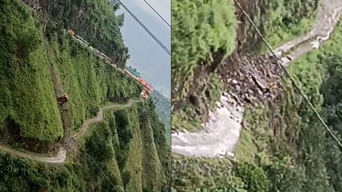 Bulldozer Falls 300 Metres Into Gorge In Rain-Hit Shimla, Driver Critical