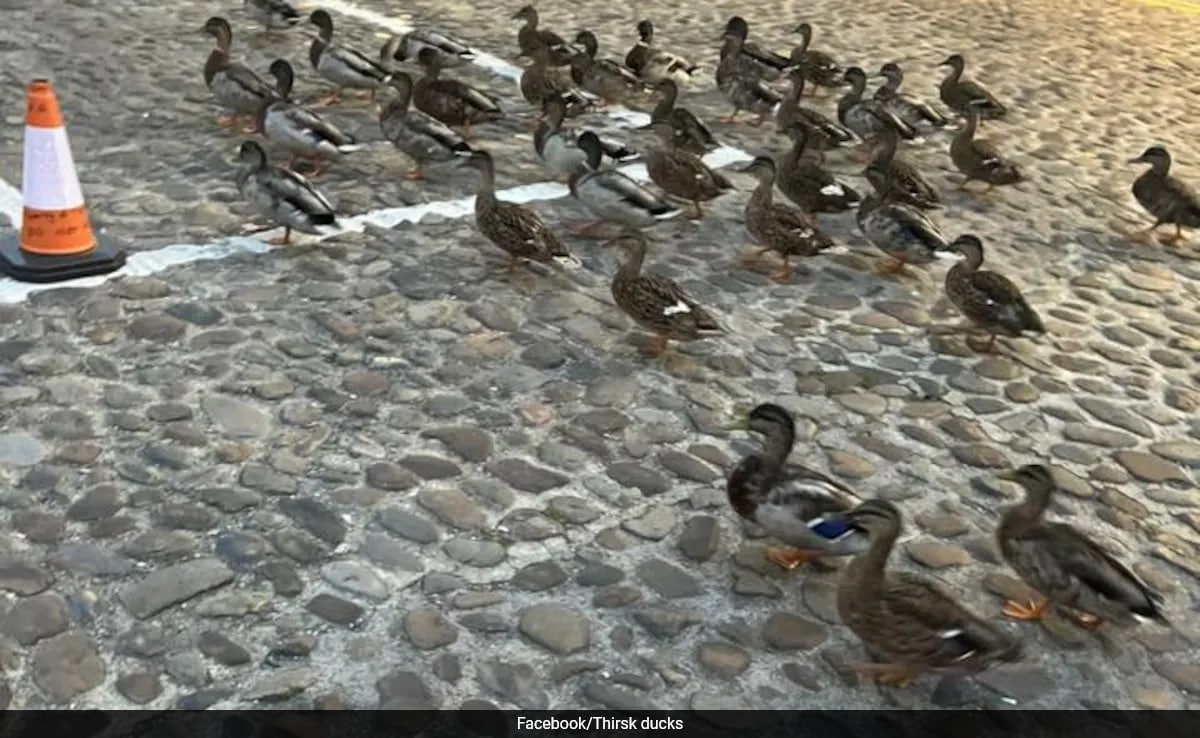 в очарователния град Тирск Северен Йоркшир група жители са поели