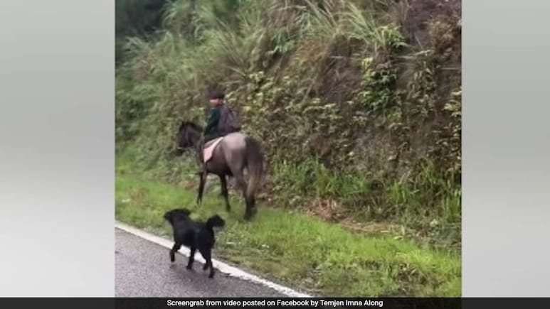 "Northeast Not For Beginners": Meghalaya Boy Rides Horse To School, Nagaland Minister Reacts "Northeast Not For Beginners": Meghalaya Boy Rides Horse To School, Nagaland Minister Reacts
