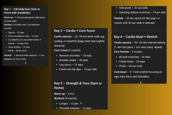GPTs workout plan. Photo: Author GPTs workout plan. Photo: Author