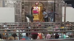 खाटूश्&zwj;यामजी के भक्&zwj;तों के ल&zwj;िए जरूरी खबर, दर्शन करने के ल&zwj;िए जाने से पहले पढ़ें ये आदेश